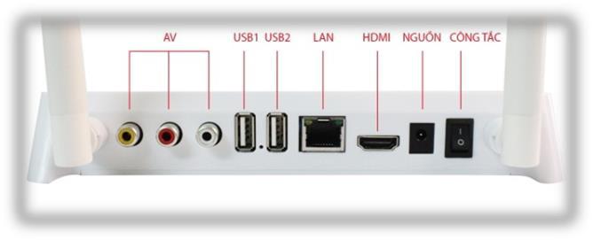 VTVBOX - BOX VTVGO